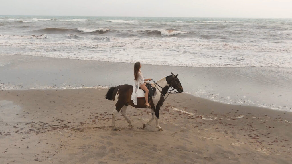 VIDEO CLIP.00_05_33_05.Imagen fija015